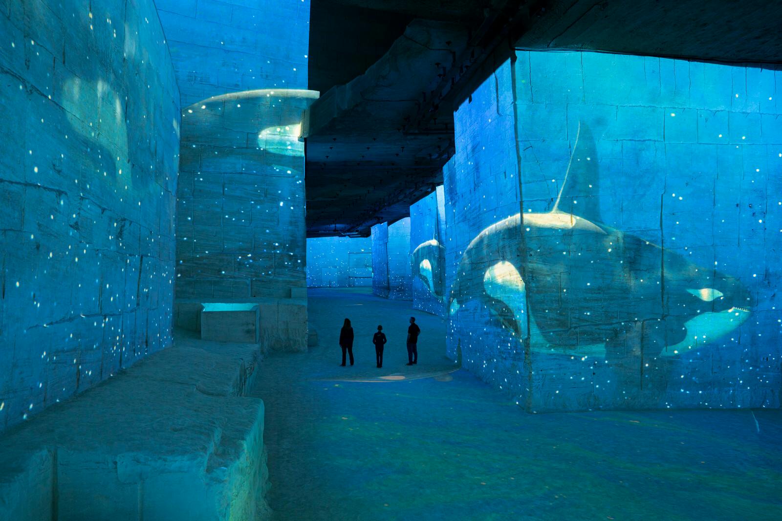 Imerzivní projekce kosatek v Carrières des Lumières