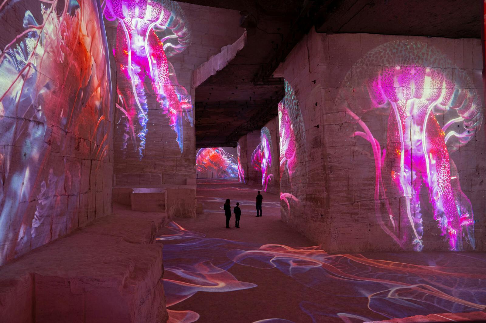 Immersive luminous projections at Les Carrières des Lumières