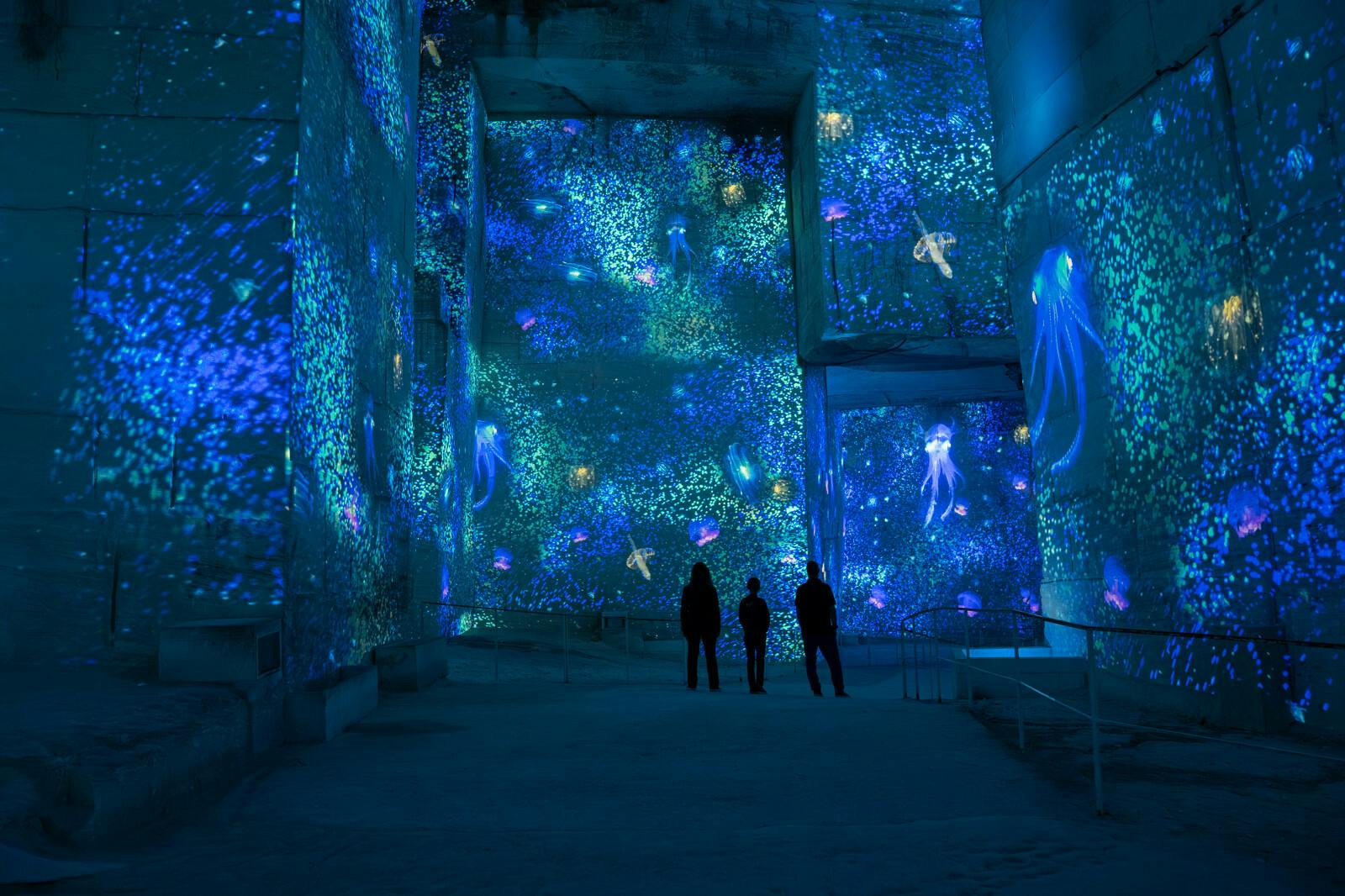 Kävijät hämmästyttävät valoisia projektioita Carrières des Lumières -luolassa