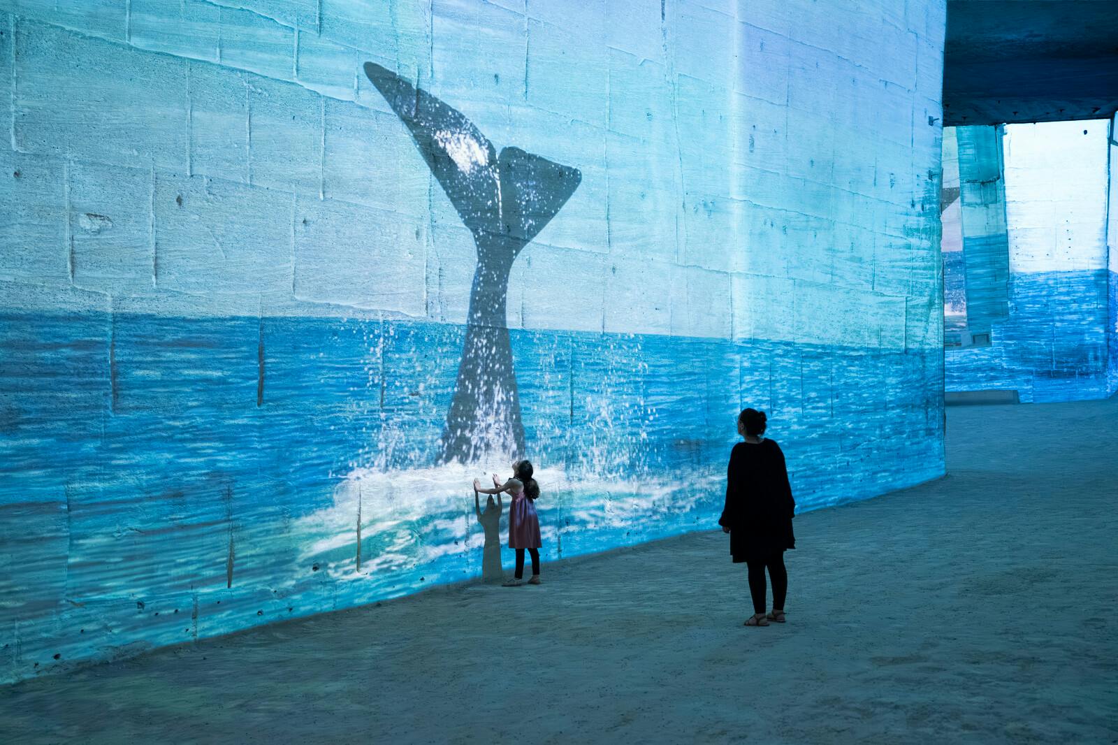 Immersieve walvisprojecties in de Carrières des Lumières