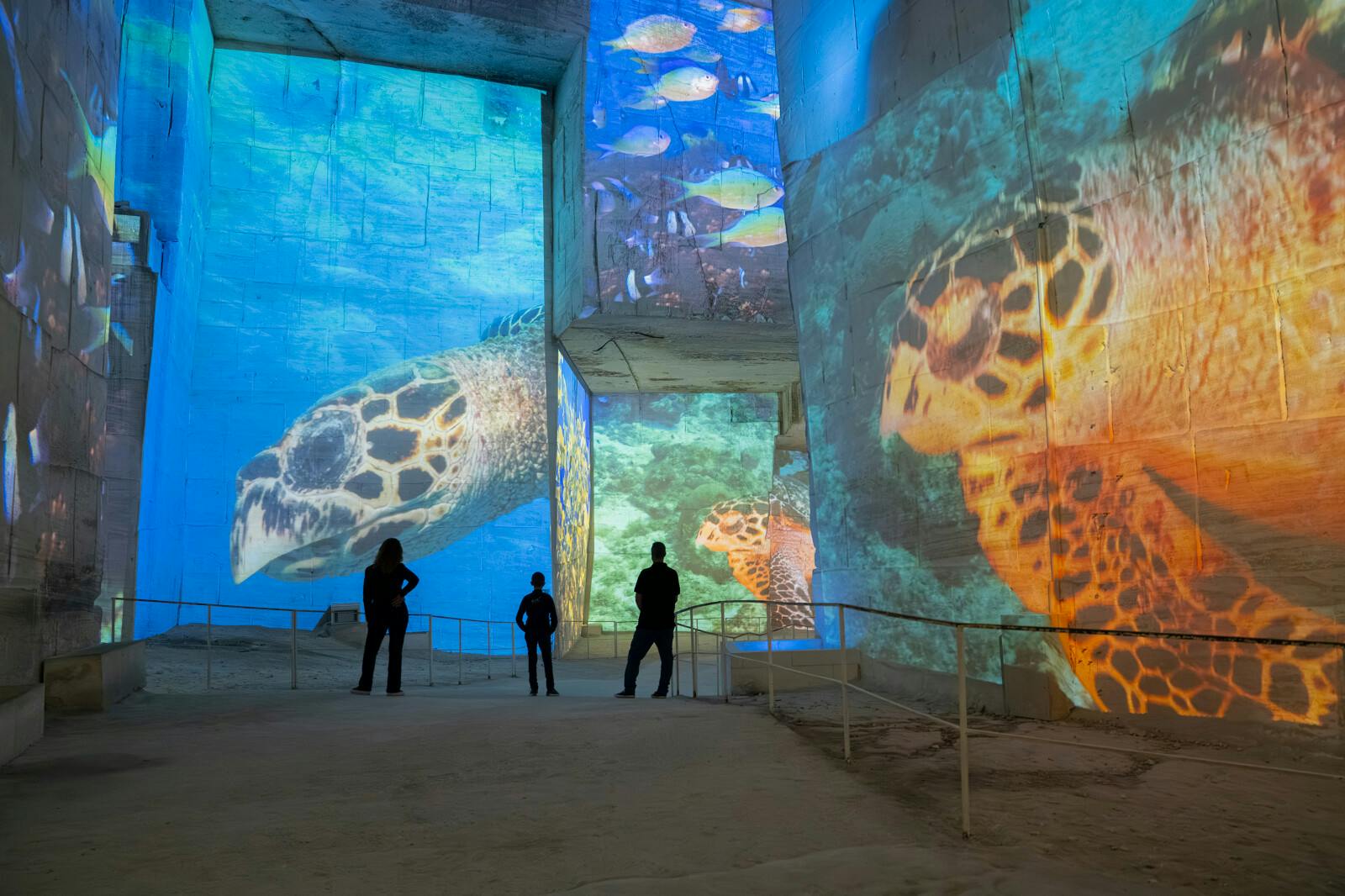 Besøkende fascinert av de gigantiske prosjeksjonene i Carrières des Lumières