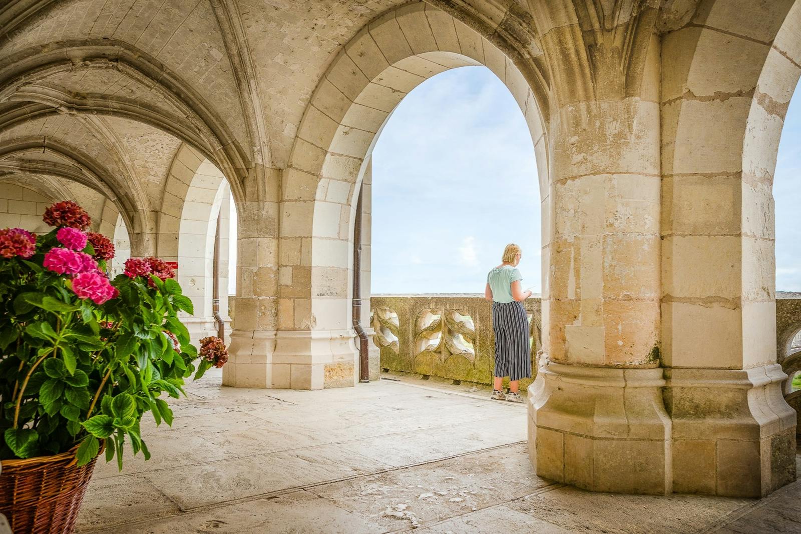 Vista desde el Castillo Real de Amboise hacia el cielo