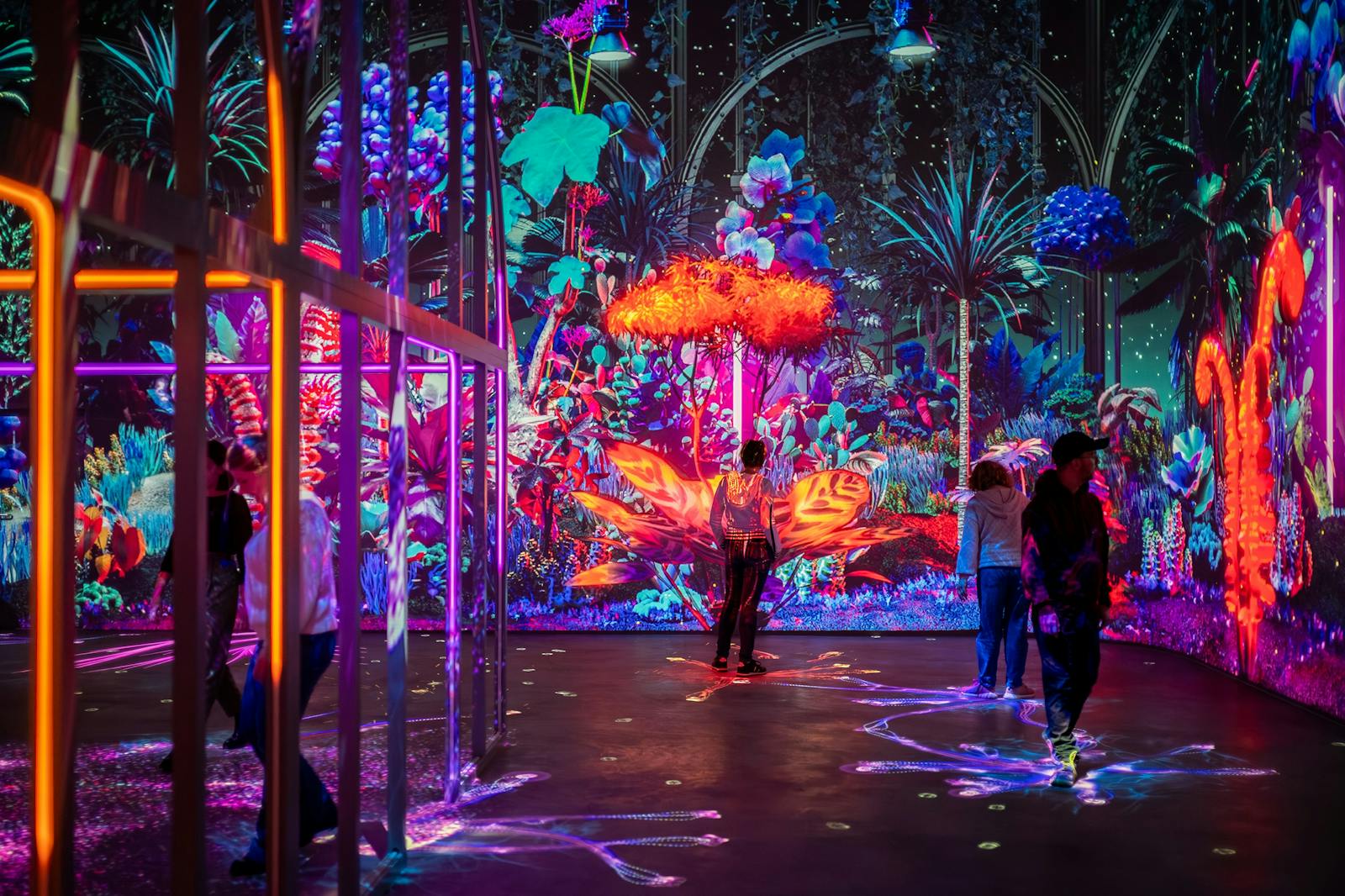 Návštěvníci ohromeni světelnými projekcemi ve Futuroscope