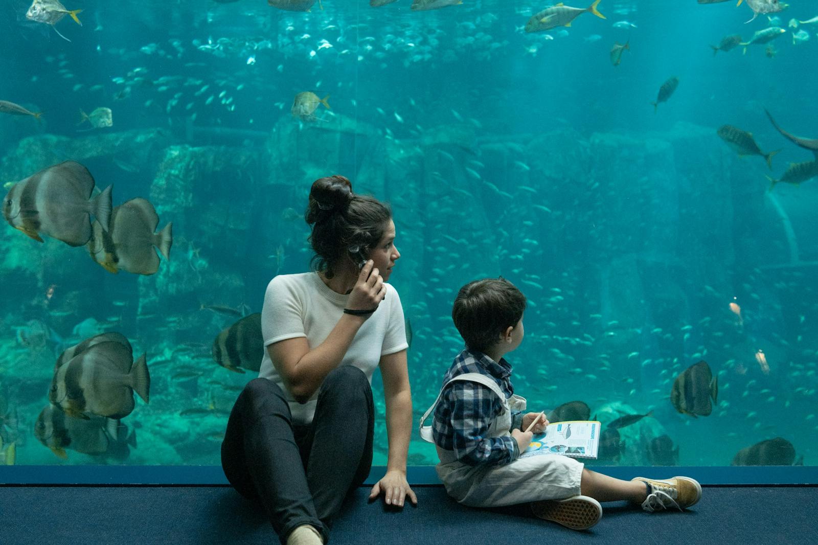 Nausicaá observe les poissons avec son fils