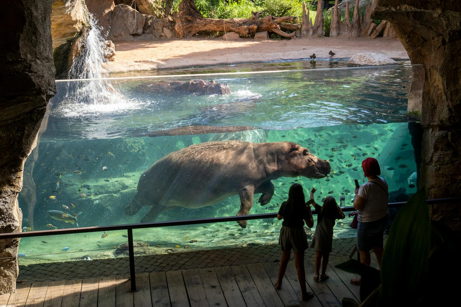 Fermeture exceptionnelle du BIOPARC Valence ce dimanche 14 décembre face à l'alerte météo