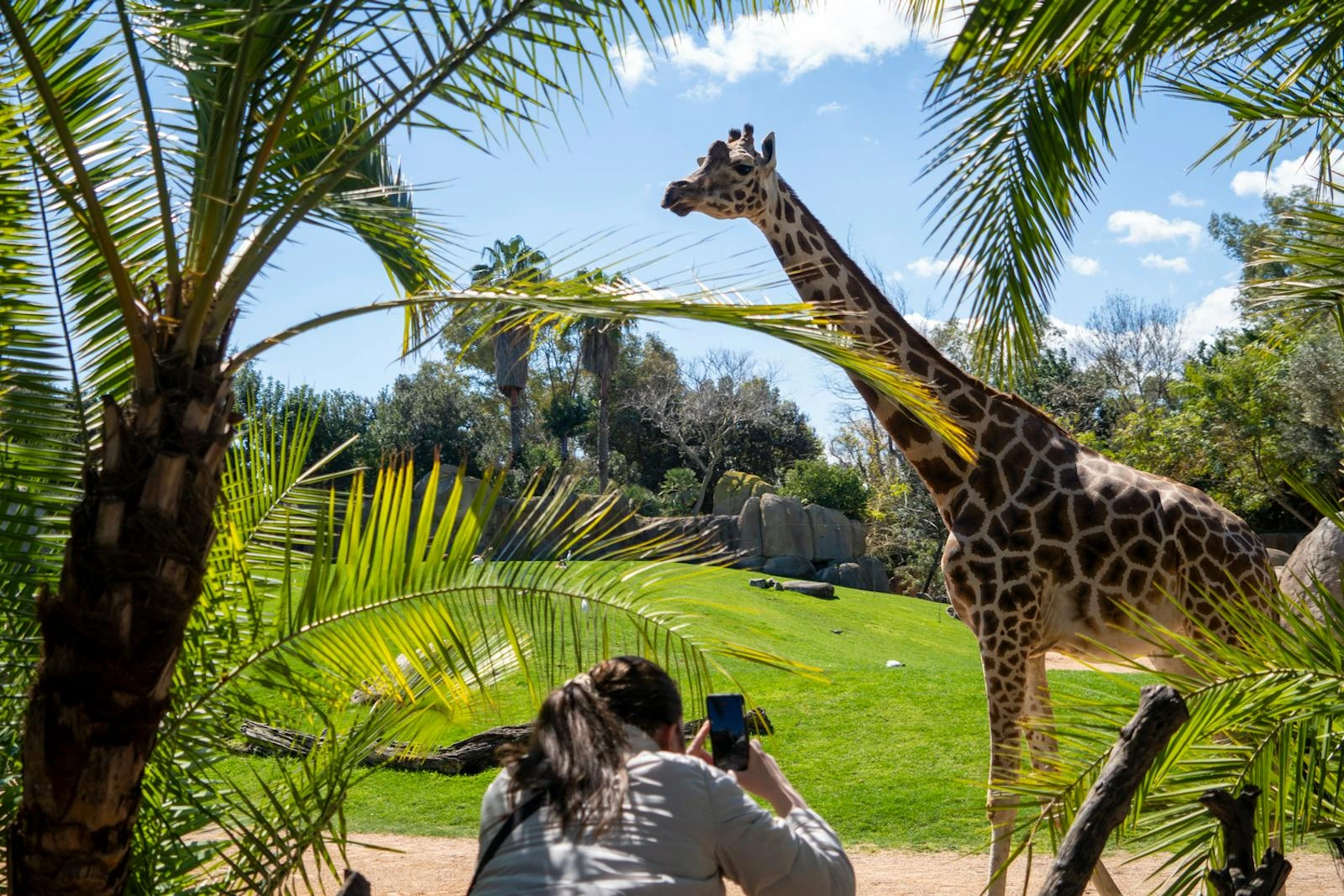 Fermeture exceptionnelle du BIOPARC Valence ce dimanche 14 décembre face à l'alerte météo