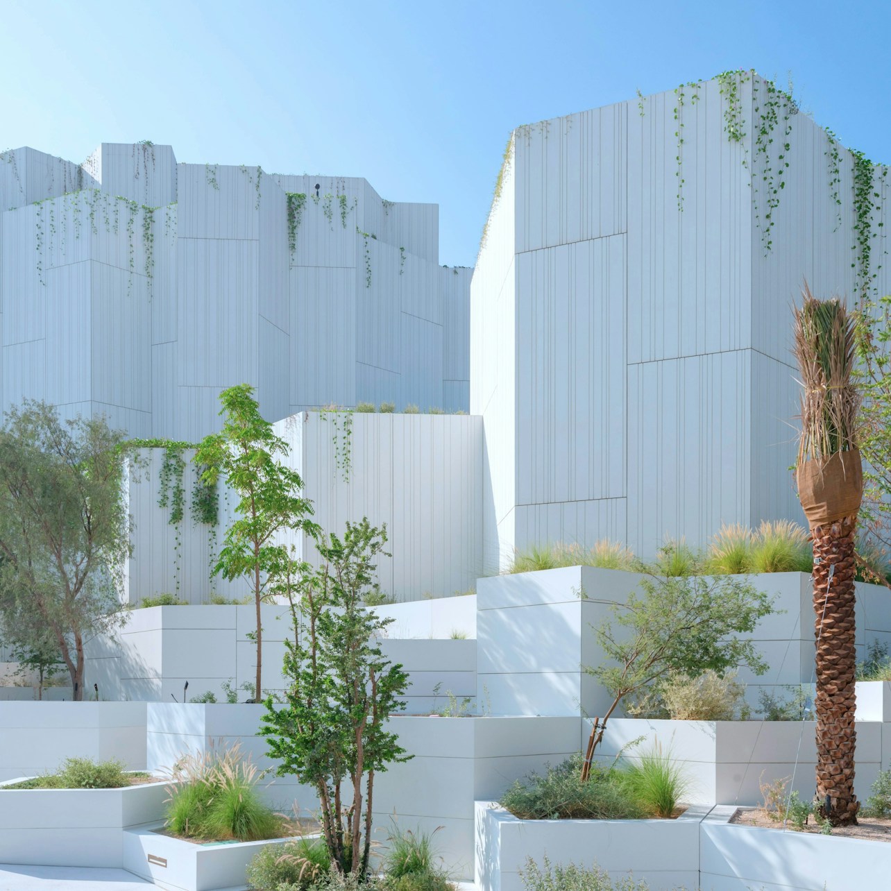 Natural History Museum Abu Dhabi